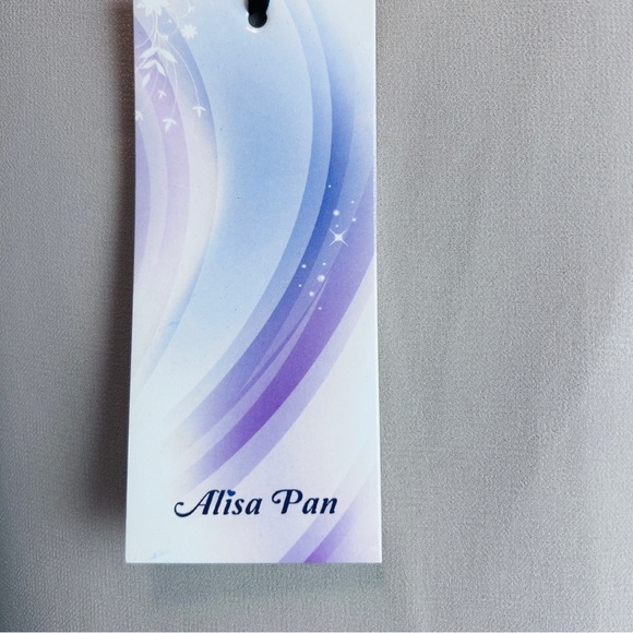 NWT Alisa Pan  Women’s Size 10 Cap Sleeves Short Coctail Dress Chiffon Side Zip - Picture 13 of 14